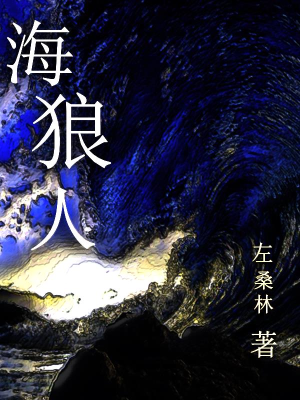 海狼高清二战电影国语译制片